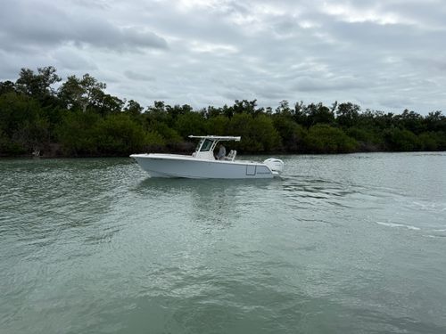 2025 Sailfish 272 CC